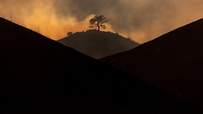 A lone burnt tree remains on a hill after the Kenneth Fire burnt through hills in the West Hills section of Los Angeles. (AP Photo/Etienne Laurent) A lone burnt tree remains on a hill after the Kenneth Fire burnt through hills in the West Hills section of Los Angeles. (AP Photo/Etienne Laurent)
