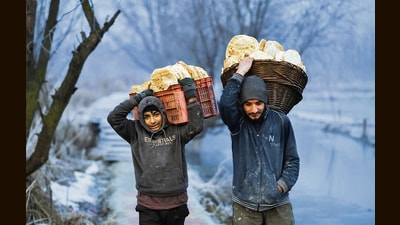 Boys carry baskets of fresh bread on a cold winter morning in Srinagar on Friday. (REUTERS)