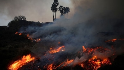 FILE PHOTO: Smoke rises as a wildfire burns in the Pacific Palisades neighborhood of west Los Angeles, California, January 7, 2025. REUTERS/Daniel Cole/File Photo (REUTERS)