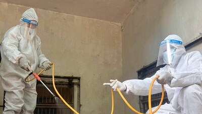 Following the deaths of three tigers and a leopard at a wildlife rescue station in the city, the Maharajbagh Zoo in Nagpur has temporarily ceased feeding chicken to its wild animals. (PTI) Following the deaths of three tigers and a leopard at a wildlife rescue station in the city, the Maharajbagh Zoo in Nagpur has temporarily ceased feeding chicken to its wild animals. (PTI)