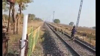 A Forest guard in Gujarat calmly guided a lion off railway track. (X/@Prakash64244262) A Forest guard in Gujarat calmly guided a lion off railway track. (X/@Prakash64244262)