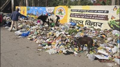 The Jalandhar MC had started a cleanliness drive. But nearly a month on, garbage can again be seen strewn on the roadsides and other open spaces in the city. (HT File)
