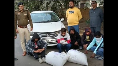 The accused were booked under Section 15(b) of the Narcotic Drugs and Psychotropic Substances Act, 1985, police said. (HT Photo)