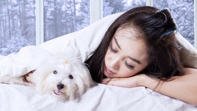Make sure to keep your furry babies cosy and warm in winter. (Adobe stock)