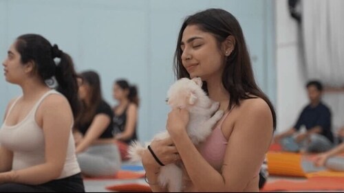 What's more calming that a yoga session with a pooch! What's more calming that a yoga session with a pooch!