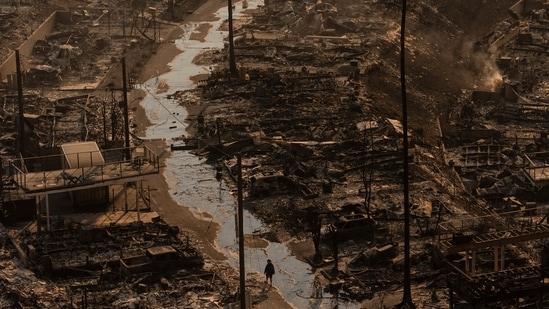 A person walks amid the destruction left behind by the Palisades Fire in the Pacific Palisades neighborhood of Los Angeles, Thursday, Jan. 9, 2025.&nbsp;(AP Photo/Jae C. Hong)