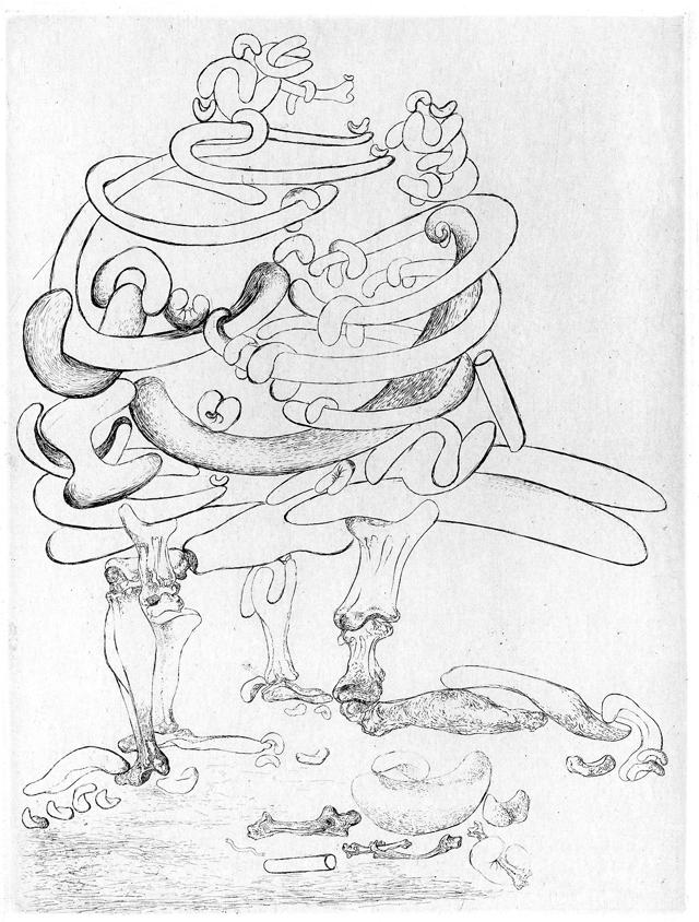 The Family Tree, from The Songs of Maldoror. The Family Tree, from The Songs of Maldoror.