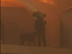 A firefighter pets a dog with one hand while using the other to battle the flames during a wildfire in Los Angeles. (Screengrab) A firefighter pets a dog with one hand while using the other to battle the flames during a wildfire in Los Angeles. (Screengrab)