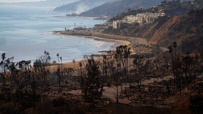 4. Fires raging in posh areas of Los Angeles, the city that houses Hollywood, reduced some 12,000 structures to ash and rubble, killed at least 11, displaced thousands of others and spread over an area larger than the size of San Francisco. (AP) 4. Fires raging in posh areas of Los Angeles, the city that houses Hollywood, reduced some 12,000 structures to ash and rubble, killed at least 11, displaced thousands of others and spread over an area larger than the size of San Francisco. (AP)