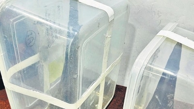 During questioning, suspect Deepak Sharma said they were a family memorabilia dating back to 90 years and he wanted to sell them due to financial distress. (HT Photo) During questioning, suspect Deepak Sharma said they were a family memorabilia dating back to 90 years and he wanted to sell them due to financial distress. (HT Photo)