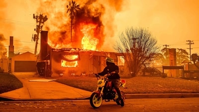 The Los Angeles wildfires have already burnt down nearly 36,000 acres of land across the Californian city. (AFP) The Los Angeles wildfires have already burnt down nearly 36,000 acres of land across the Californian city. (AFP)
