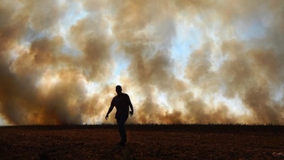 Temperatures passed 50 degrees Celsius (122 Fahrenheit) in northern India as an unrelenting heatwave triggered warnings of water shortages and heatstroke. 2024 is confirmed by the Copernicus Climate Change Service (C3S) to be the warmest year on record globally, and the first calendar year that the average global temperature exceeded 1.5°C above its pre-industrial level. (AFP) (HT_PRINT) Temperatures passed 50 degrees Celsius (122 Fahrenheit) in northern India as an unrelenting heatwave triggered warnings of water shortages and heatstroke. 2024 is confirmed by the Copernicus Climate Change Service (C3S) to be the warmest year on record globally, and the first calendar year that the average global temperature exceeded 1.5°C above its pre-industrial level. (AFP) (HT_PRINT)