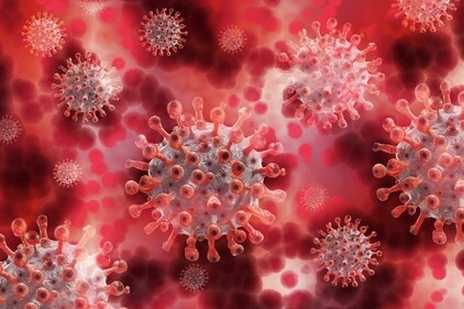 Ever since the possibility of Disease X made headlines, conspiracy theorists have been spreading various claims about the potential outbreak (Pixabay - representational image) Ever since the possibility of Disease X made headlines, conspiracy theorists have been spreading various claims about the potential outbreak (Pixabay - representational image)