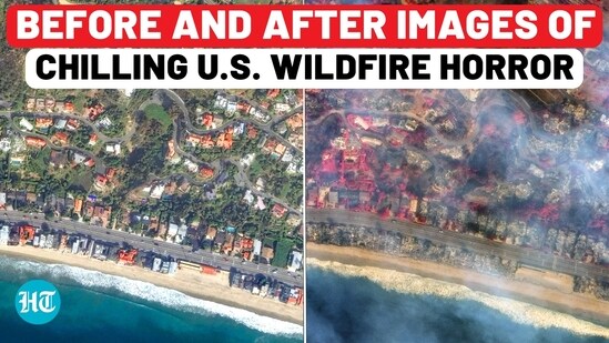Los Angeles Fire: Chilling Satellite Images Show Before And After Of Wildfires