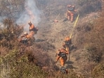 Firefighters work during the Palisades Fire near the Mandeville Canyon area of Los Angeles, California Firefighters work during the Palisades Fire near the Mandeville Canyon area of Los Angeles, California