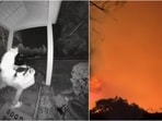 Eaton Fire is one of six simultaneous wildfires that began on Tuesday in Los Angeles, scorching nearly 40,000 acres. Eaton Fire is one of six simultaneous wildfires that began on Tuesday in Los Angeles, scorching nearly 40,000 acres.