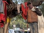 The peepal tree outside the Kamala Market complex in central Delhi is distinguished for its massive bulk. (HT Photo)