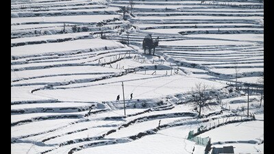 A man and woman walk on snow covered rice field at Gund some 70 kilometers from Srinagar on Sunday. (Waseem Andrabi /HT) A man and woman walk on snow covered rice field at Gund some 70 kilometers from Srinagar on Sunday. (Waseem Andrabi /HT)