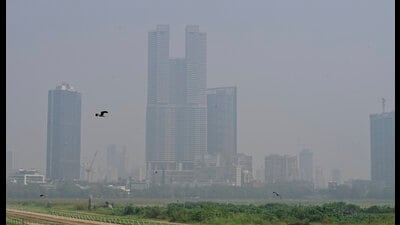 As per officials, a cold wave is considered when the minimum temperature of a station is 10°C or less for plains and 0°C or less for hilly regions. (Hindustan Times) As per officials, a cold wave is considered when the minimum temperature of a station is 10°C or less for plains and 0°C or less for hilly regions. (Hindustan Times)