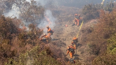 Firefighters work during the Palisades Fire near the Mandeville Canyon area of Los Angeles, California ( Benjamin Fanjoy/Bloomberg) Firefighters work during the Palisades Fire near the Mandeville Canyon area of Los Angeles, California ( Benjamin Fanjoy/Bloomberg)
