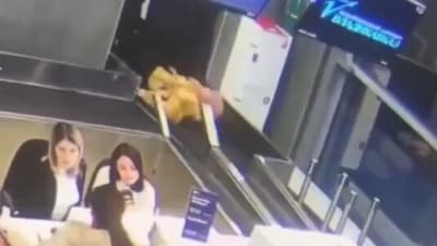 An elderly woman at a Russian airport mistook a baggage conveyor for a walkway. (X/@IbraHasan_) An elderly woman at a Russian airport mistook a baggage conveyor for a walkway. (X/@IbraHasan_)