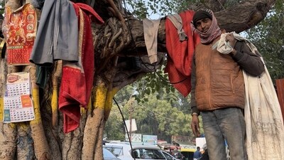 The peepal tree outside the Kamala Market complex in central Delhi is distinguished for its massive bulk. (HT Photo) The peepal tree outside the Kamala Market complex in central Delhi is distinguished for its massive bulk. (HT Photo)