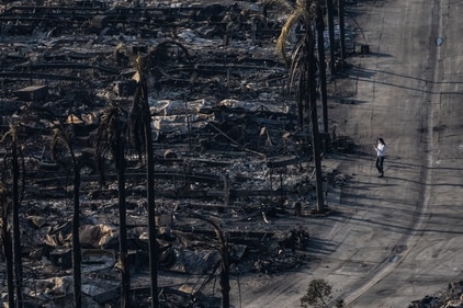 A view shows the remains of homes destroyed by the Palisades Fire in the Pacific Palisades neighborhood in Los Angeles, California, US January 11, 2025. (REUTERS)