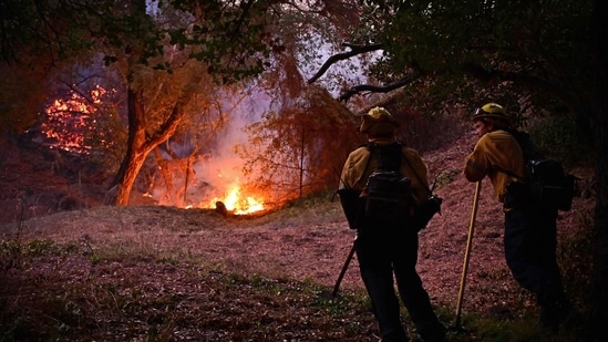 Firefighters continue to monitor flames in the Mandeville Canyon neighborhood of Los Angeles, California, on January 11, 2025, as the Palisades Fire rages on.(AFP)