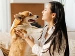 pets762