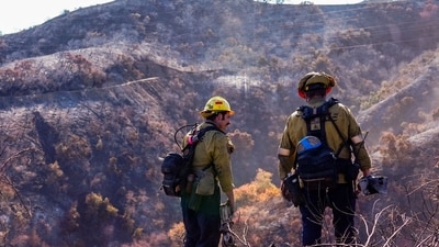 California wildfire live updates: Firefighters work toward containment in the aftermath of the Palisades Fire in Los Angeles, California, US, on Sunday, Jan. 12, 2025. Firefighters are making some progress on controlling the deadly blazes that have scorched Los Angeles, as the toll of destruction rises with entire neighbourhoods reduced to ash. (Bloomberg) California wildfire live updates: Firefighters work toward containment in the aftermath of the Palisades Fire in Los Angeles, California, US, on Sunday, Jan. 12, 2025. Firefighters are making some progress on controlling the deadly blazes that have scorched Los Angeles, as the toll of destruction rises with entire neighbourhoods reduced to ash. (Bloomberg)