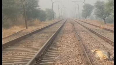 The identity of the deceased is yet to be ascertained. (PIcture only for representational purpose)