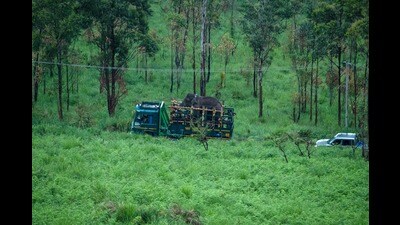 The proposal to build the road near Silent Valley National Park was recommended by Chief Wild Life Warden, the State Board for Wild Life and Kerala Government as per the minutes. (AFP) The proposal to build the road near Silent Valley National Park was recommended by Chief Wild Life Warden, the State Board for Wild Life and Kerala Government as per the minutes. (AFP)