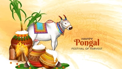 Pongal, a major harvest festival in Tamil Nadu, will be celebrated from January 14 to January 17. (Freepik) Pongal, a major harvest festival in Tamil Nadu, will be celebrated from January 14 to January 17. (Freepik)