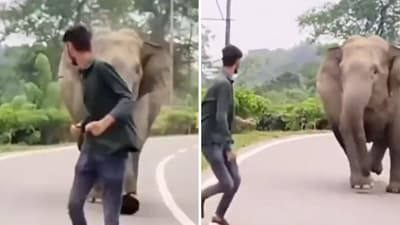 The clip begins with a man running on a road and an elephant chases him. (X/@ParveenKaswan) The clip begins with a man running on a road and an elephant chases him. (X/@ParveenKaswan)