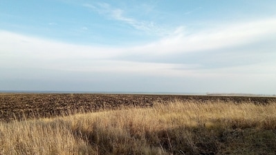 Land deal volume in India surged by around 47% Y-o-Y, reaching more than 2000 acres across top eight cities in CY 2024. (Photo for representational purposes only) (Pixabay) Land deal volume in India surged by around 47% Y-o-Y, reaching more than 2000 acres across top eight cities in CY 2024. (Photo for representational purposes only) (Pixabay)
