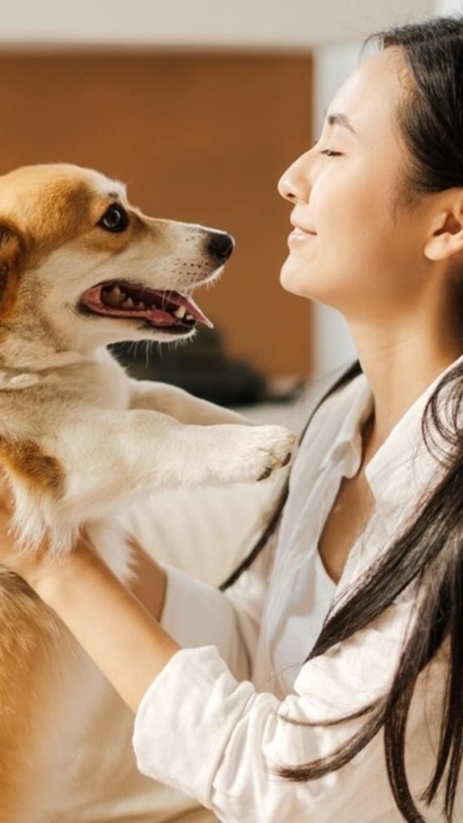 pets762