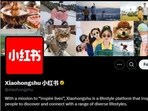 Users are flocking to the Chinese platform RedNote, aka Xiaohongshu, to find alternatives to TikTok amid a looming ban.