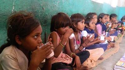 Eleven states in India currently provide milk to school students through GiftMilk programme, started by the National Dairy Development Board. (Representational image) Eleven states in India currently provide milk to school students through GiftMilk programme, started by the National Dairy Development Board. (Representational image)