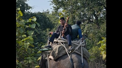 Forest staff with tranquillising gun carrying out search operation in Rehman Kheda, Lucknow, on Monday. (Mushtaq Ali/HT) Forest staff with tranquillising gun carrying out search operation in Rehman Kheda, Lucknow, on Monday. (Mushtaq Ali/HT)