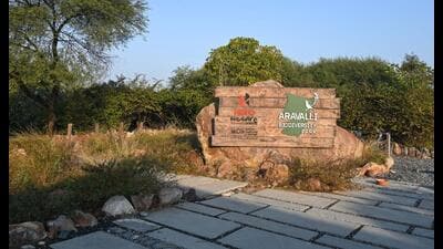 GMDA will lay a pipeline from the sewage treatment plant at Berhampur to the Aravalli Biodiversity Park on MG Road to supply treated water for plants in Gurugram. (Parveen Kumar/HT) GMDA will lay a pipeline from the sewage treatment plant at Berhampur to the Aravalli Biodiversity Park on MG Road to supply treated water for plants in Gurugram. (Parveen Kumar/HT)
