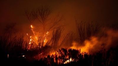 Los Angeles wildfires: The Auto Fire spreads following the riverbed of the Santa Clara River in Oxnard, North West of Los Angeles, California, on January 13, 2025. (Etienne Laurent/AFP) Los Angeles wildfires: The Auto Fire spreads following the riverbed of the Santa Clara River in Oxnard, North West of Los Angeles, California, on January 13, 2025. (Etienne Laurent/AFP)