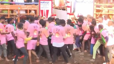 Participants at Avaniyapuram Jallikattu event look at the entry gate as they await the bull's entry. (Screengrab/X/@PTI_News) Participants at Avaniyapuram Jallikattu event look at the entry gate as they await the bull's entry. (Screengrab/X/@PTI_News)
