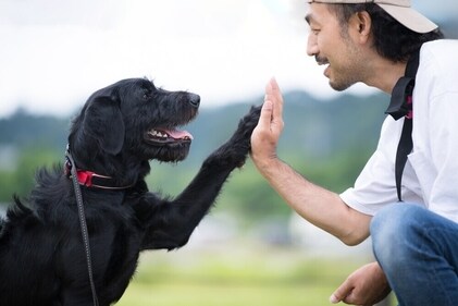 Maintaining good hygiene after interacting with dog is important. (Shutterstock) Maintaining good hygiene after interacting with dog is important. (Shutterstock)