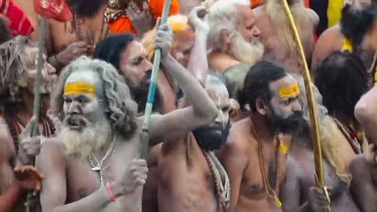 'Sadhus' take a holy dip at the Sangam on the occasion of 'Makar Sankranti' festival during the Mahakumbh Mela 2025 in Prayagraj, Uttar Pradesh, on Tuesday, (PTI)