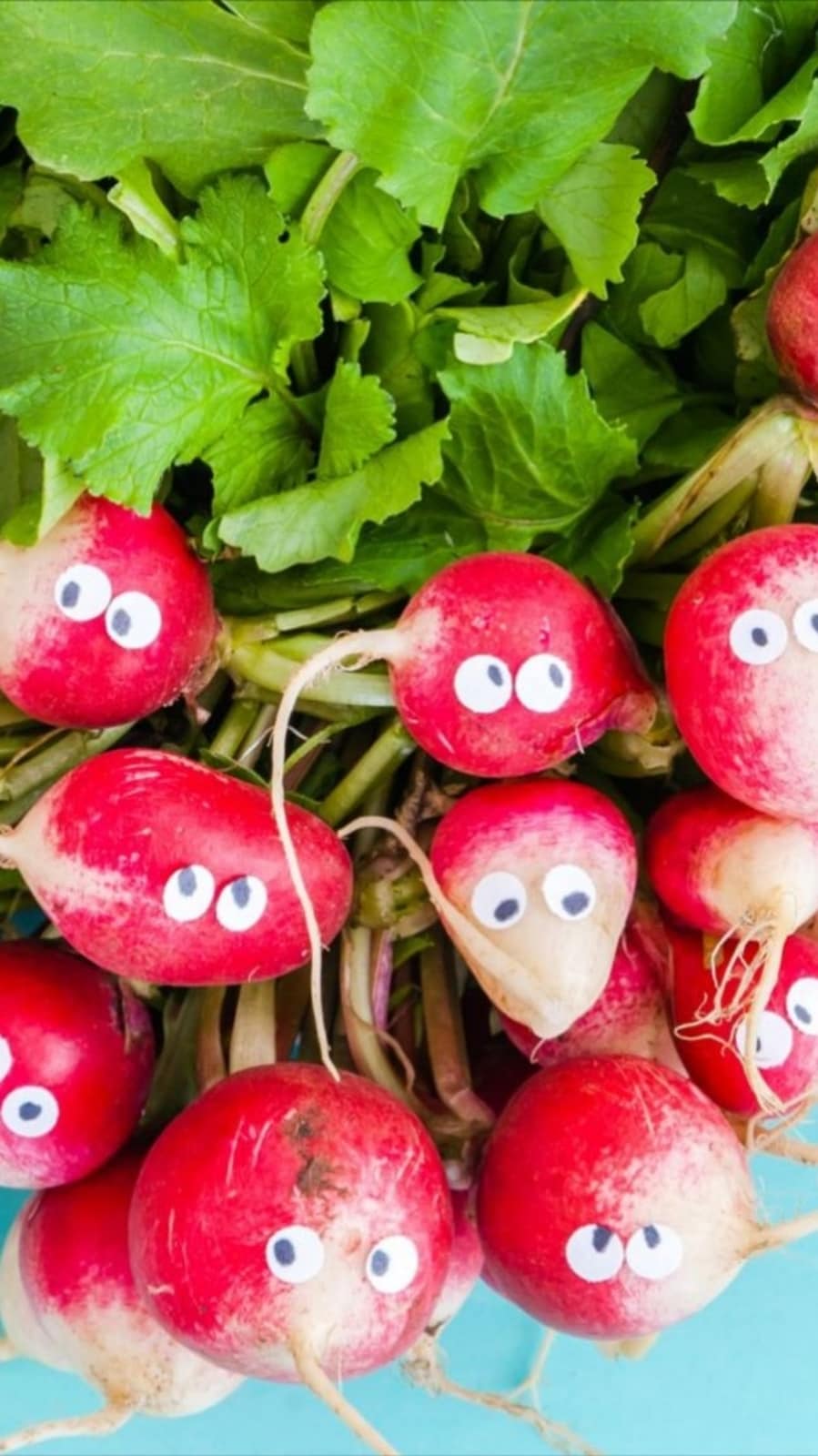 radish374