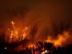 Los Angeles wildfires: The Auto Fire spreads following the riverbed of the Santa Clara River in Oxnard, North West of Los Angeles, California, on January 13, 2025. Los Angeles wildfires: The Auto Fire spreads following the riverbed of the Santa Clara River in Oxnard, North West of Los Angeles, California, on January 13, 2025. 