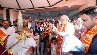 Union Home Minister Amit Shah with his wife Sonal Shah and son Jay Shah offers prayers to cow on the occasion of Makar Sankranti, at Shree Jagannath Temple in Ahmedabad on Tuesday. (ANI) Union Home Minister Amit Shah with his wife Sonal Shah and son Jay Shah offers prayers to cow on the occasion of Makar Sankranti, at Shree Jagannath Temple in Ahmedabad on Tuesday. (ANI)