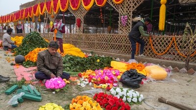 Mahakumbh, day 3: A camp being decorated at the Sangam during the ongoing Mahakumbh Mela 2025, in Prayagraj, Wednesday, Jan. 15, 2025. (PTI) Mahakumbh, day 3: A camp being decorated at the Sangam during the ongoing Mahakumbh Mela 2025, in Prayagraj, Wednesday, Jan. 15, 2025. (PTI)