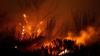 Los Angeles wildfires: The Auto Fire spreads following the riverbed of the Santa Clara River in Oxnard, North West of Los Angeles, California, on January 13, 2025. (Etienne Laurent/AFP) Los Angeles wildfires: The Auto Fire spreads following the riverbed of the Santa Clara River in Oxnard, North West of Los Angeles, California, on January 13, 2025. (Etienne Laurent/AFP)
