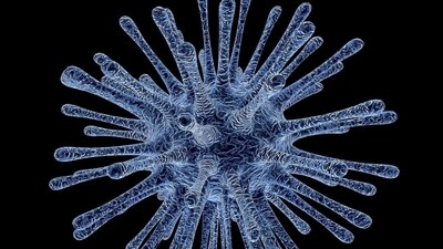How is HMPV different from COVID-19 and other respiratory viruses? (Pixabay/Representative) How is HMPV different from COVID-19 and other respiratory viruses? (Pixabay/Representative)